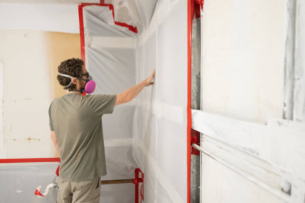 Best Mold Removal for HVAC Installations  in Tashua, CT