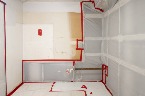 Trusted Tashua, CT Mold Removal Experts