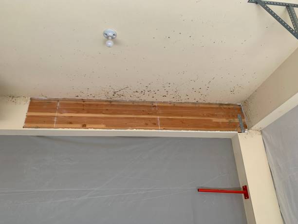 Best Asbestos and Lead Testing During Mold Inspection  in Tashua, CT