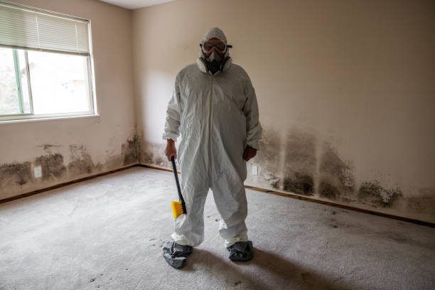 Best Residential Mold Inspection & Testing  in Tashua, CT